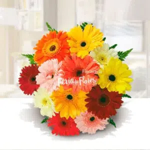 Ramillete de Gerberas