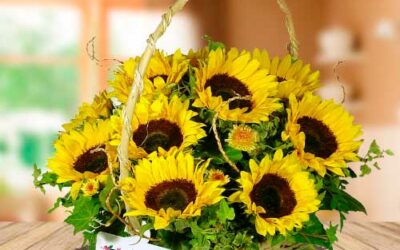 Canasta Floral con 12 Girasoles