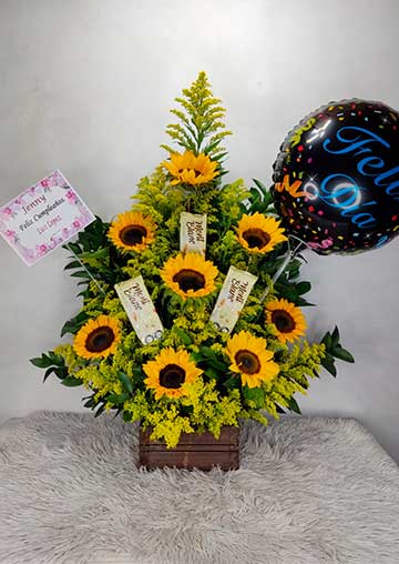 banner girasoles